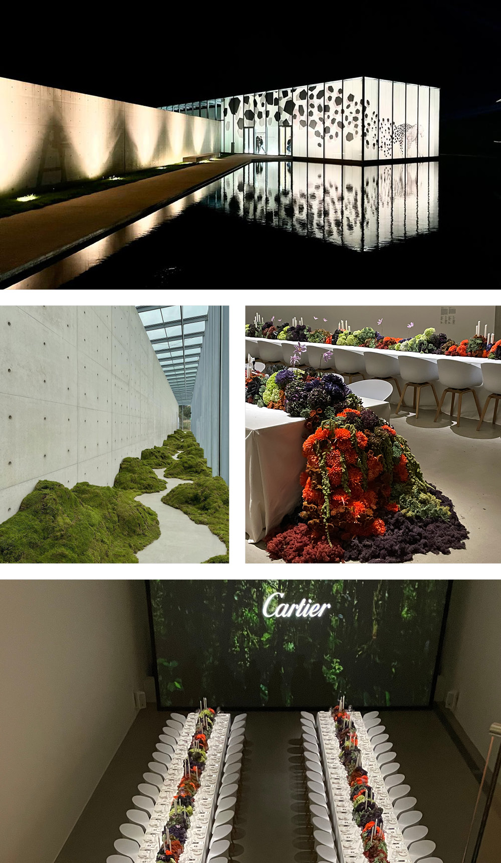 CARTIER – Flora & Fauna