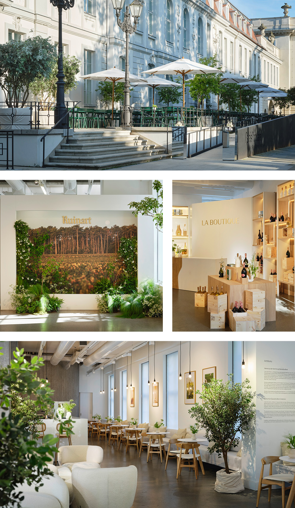 Ruinart – Conversations with Nature Pop-Up