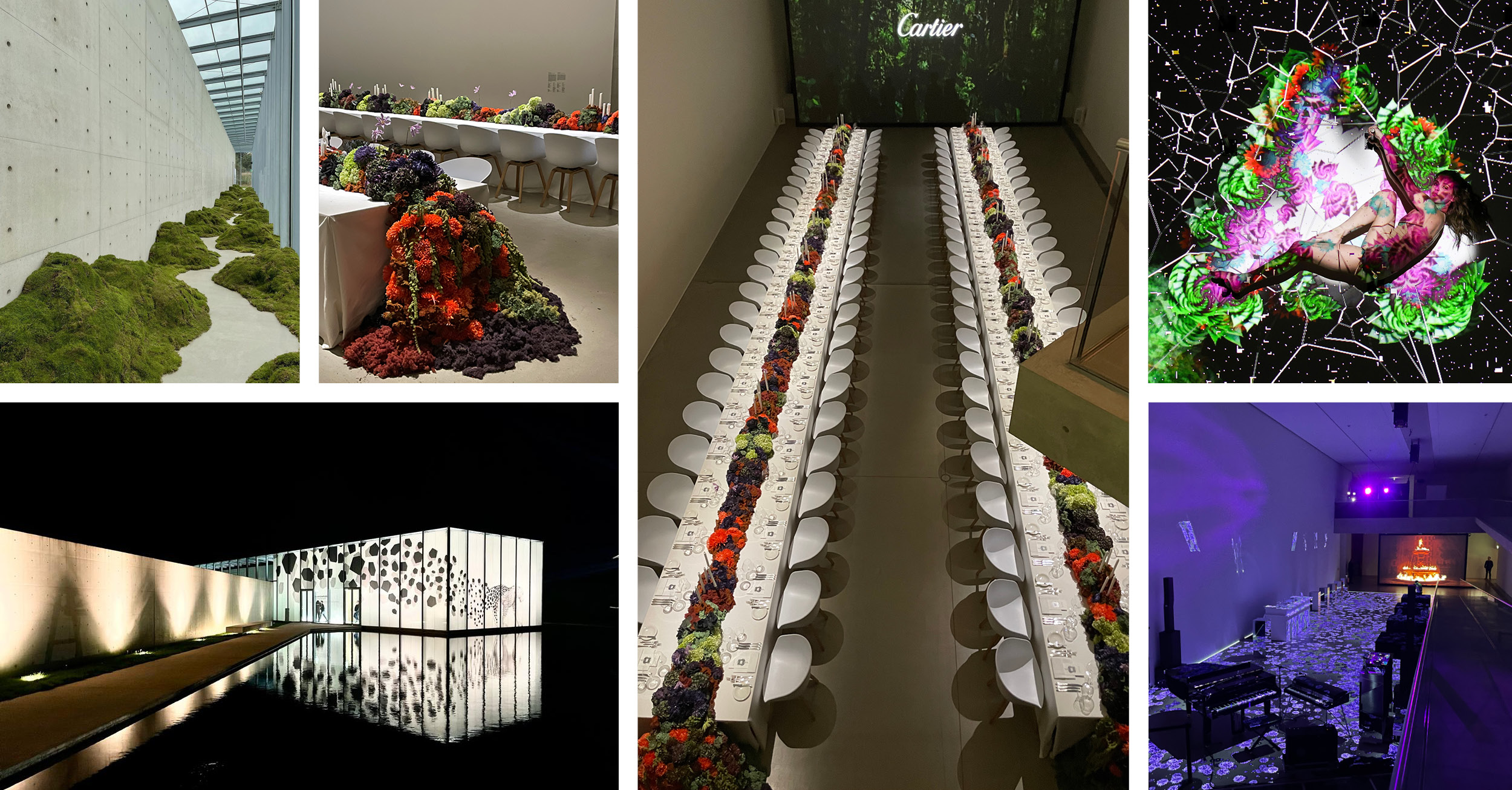 CARTIER – Flora & Fauna