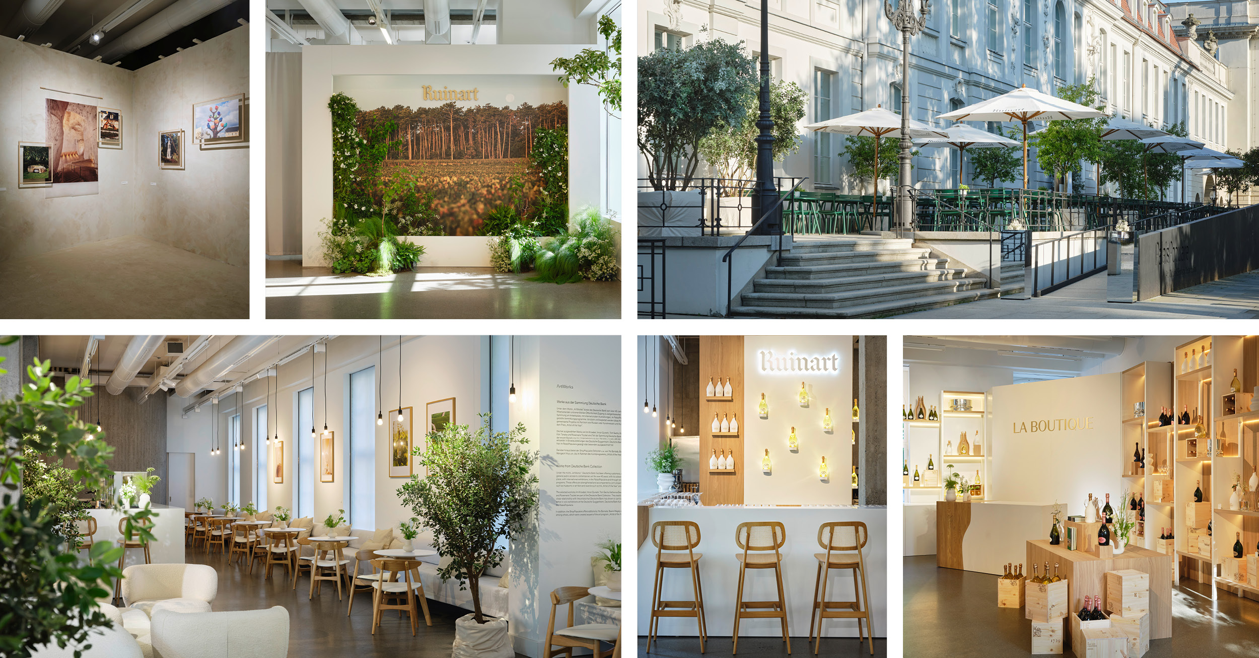 Ruinart – Conversations with Nature Pop-Up